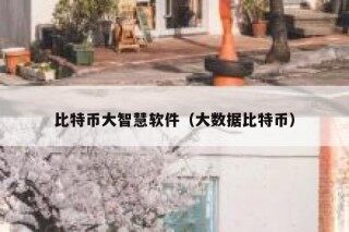 比特币大智慧软件（大数据比特币）