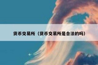 货币交易所（货币交易所是合法的吗）