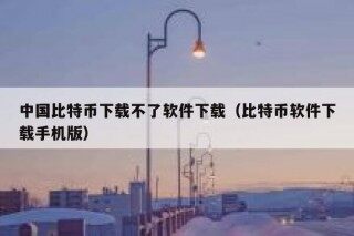 中国比特币下载不了软件下载（比特币软件下载手机版）