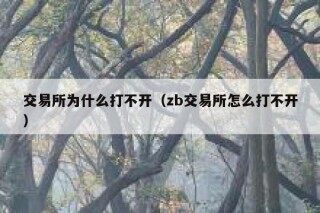 交易所为什么打不开（zb交易所怎么打不开）
