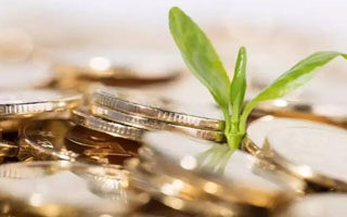 雷达币最新价格走势（雷达币最新交易价格走势）