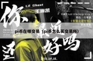 pi币在哪交易（pi币怎么买交易所）