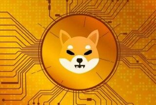 2022鱿鱼币最新消息 - 鱿鱼币暴涨
