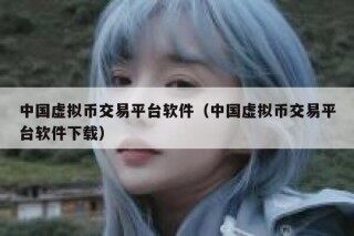 中国虚拟币交易平台软件（中国虚拟币交易平台软件下载）