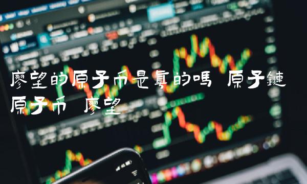 廖望的原子币是真的吗 原子链 原子币 廖望