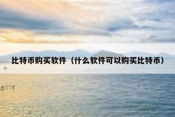 比特币购买软件（什么软件可以购买比特币）-第1张图片-欧意下载