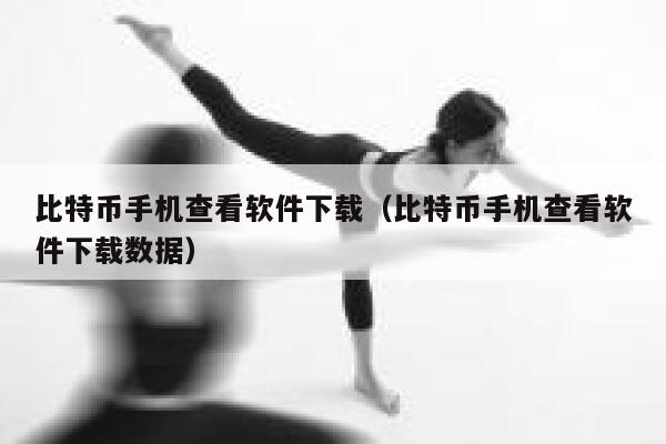 比特币手机查看软件下载（比特币手机查看软件下载数据）-第1张图片-欧意下载