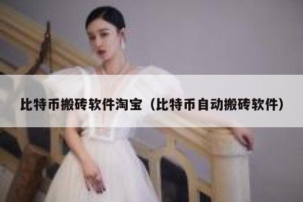 比特币搬砖软件淘宝（比特币自动搬砖软件）-第1张图片-欧意下载