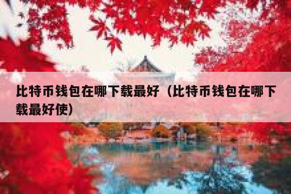 比特币钱包在哪下载最好（比特币钱包在哪下载最好使）-第1张图片-欧意下载