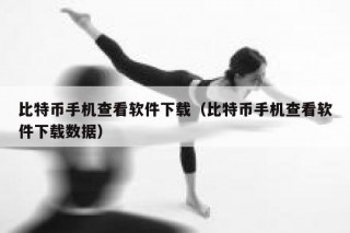 比特币手机查看软件下载（比特币手机查看软件下载数据）