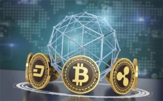 MZ币今天的价格是多少