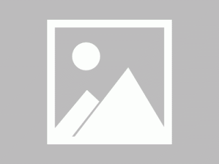 菲尔fil币官网最新消息_filbcoin币今日最新价格