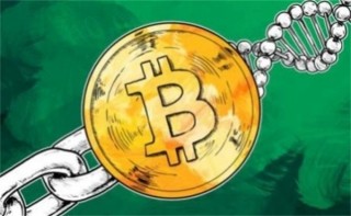 CAD币今日最新价格行情