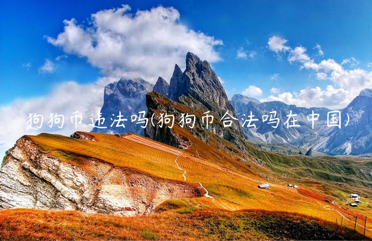 狗狗币违法吗(狗狗币合法吗在中国)-第1张图片-欧意下载