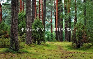 BIANbtc(BIANBTC插针48000)