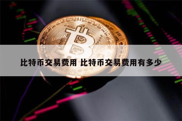 比特币交易费用 比特币交易费用有多少 第1张