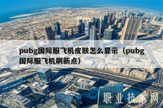 pubg国际服飞机皮肤怎么显示（pubg国际服飞机刷新点）