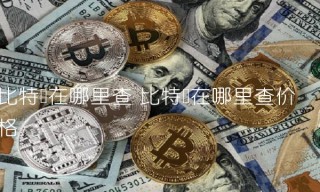 比特币在哪里查