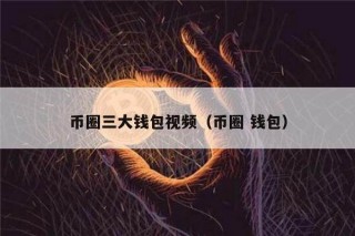币圈三大钱包视频（币圈 钱包）