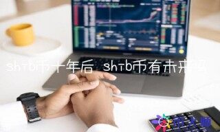 shib币有未来吗