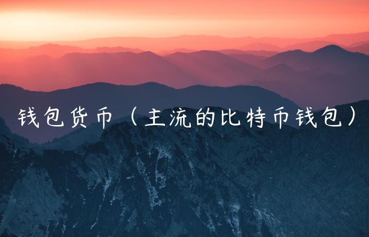 钱包货币（主流的比特币钱包）-第1张图片-欧意下载