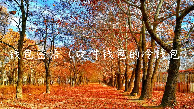 钱包密语（硬件钱包的冷钱包）-第1张图片-欧意下载
