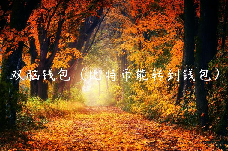 双脑钱包（比特币能转到钱包）-第1张图片-欧意下载