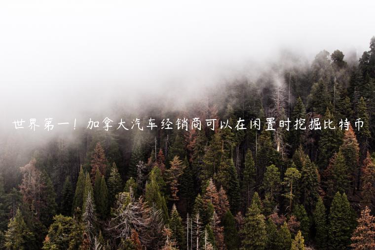 世界第一！加拿大汽车经销商可以在闲置时挖掘比特币-第1张图片-欧意下载
