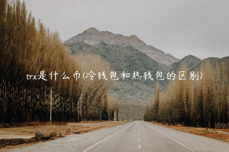 tr是什么币 - 冷钱包和热钱包的区别-第1张图片-欧意下载