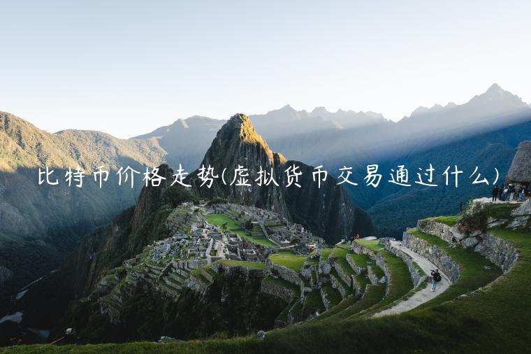 比特币价格走势 - 虚拟货币交易通过什么-第1张图片-欧意下载