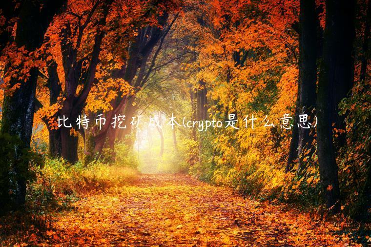 比特币挖矿成本 - crypto是什么意思-第1张图片-欧意下载