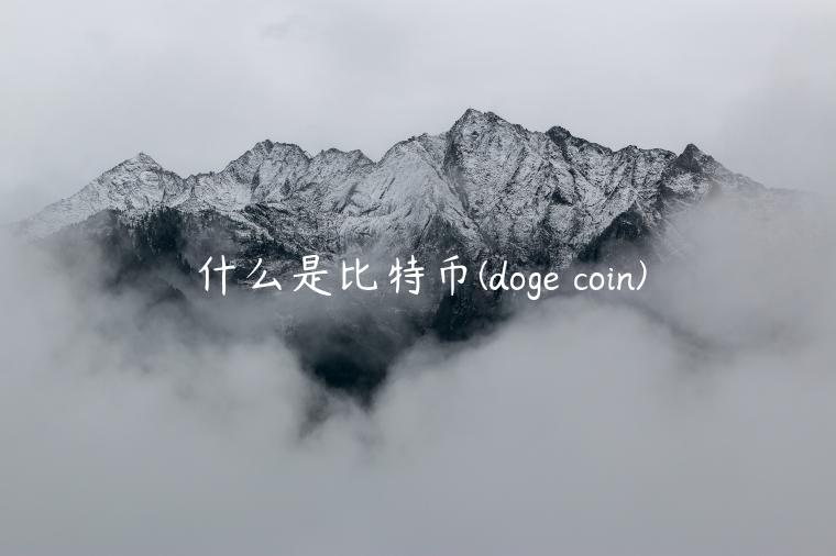 什么是比特币 - dog coin-第1张图片-欧意下载