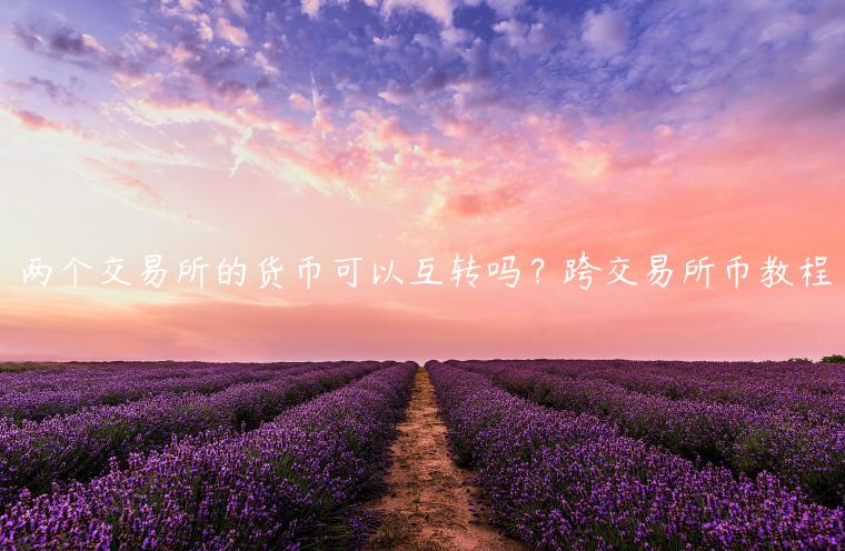 两个交易所的货币可以互转吗？跨交易所币教程-第1张图片-欧意下载