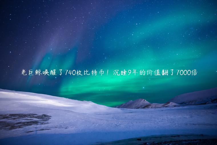 老巨鲸唤醒了740枚比特币！沉睡9年的价值翻了7000倍-第1张图片-欧意下载