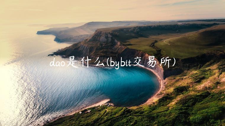 dao是什么 - bybit交易所-第1张图片-欧意下载