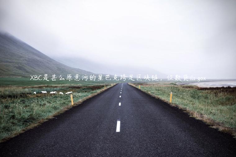 BC是甚么原意污的星巴克跨足区块链，位数货ils go-第1张图片-欧意下载