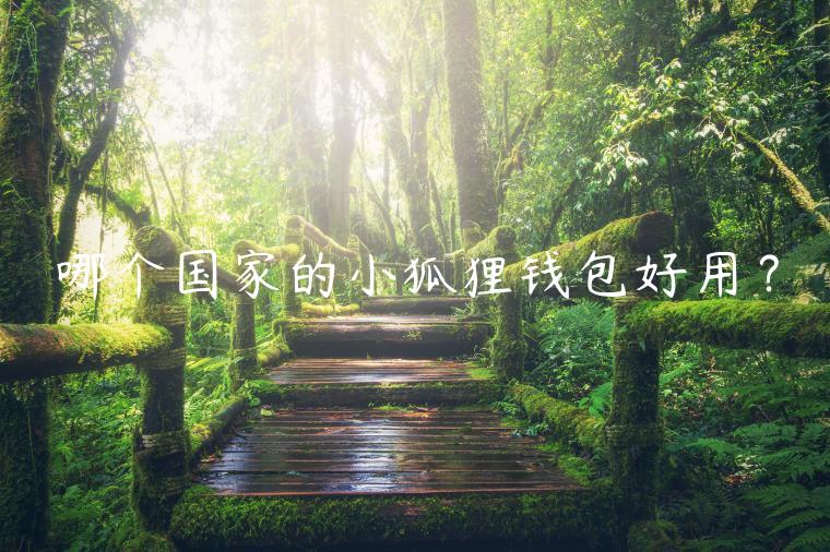 哪个国家的小狐狸钱包好用？-第1张图片-欧意下载