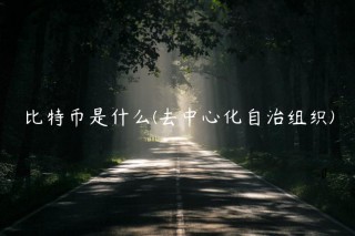 比特币是什么 - 去中心化自治组织