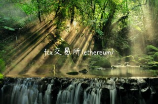 ft交易所 - thrum