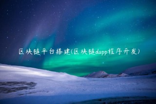区块链平台搭建 - 区块链dapp程序开发