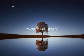 wavs币 - zk-snark