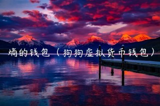 熵的钱包（狗狗虚拟货币钱包）