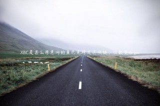 BC是甚么原意污的星巴克跨足区块链，位数货ils go