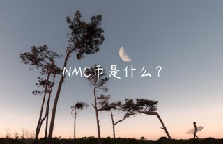 NMC币是什么？