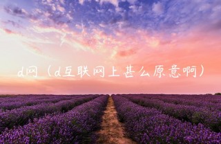 d网（d互联网上甚么原意啊）