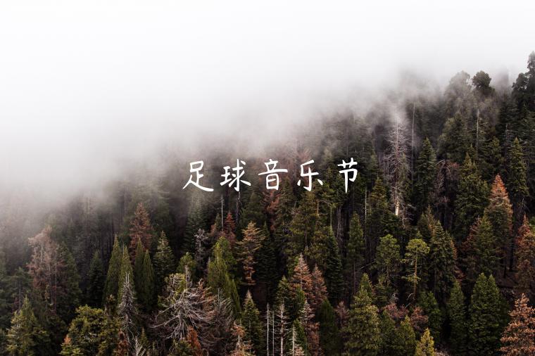 足球音乐节-第1张图片-欧意下载