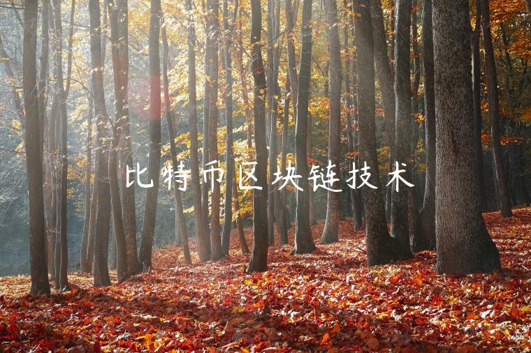 比特币区块链技术-第1张图片-欧意下载