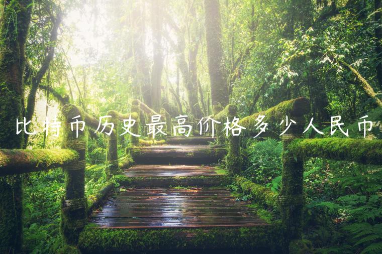 比特币历史最高价格多少人民币-第1张图片-欧意下载