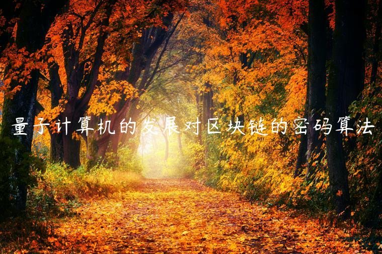 量子计算机的发展对区块链的密码算法-第1张图片-欧意下载
