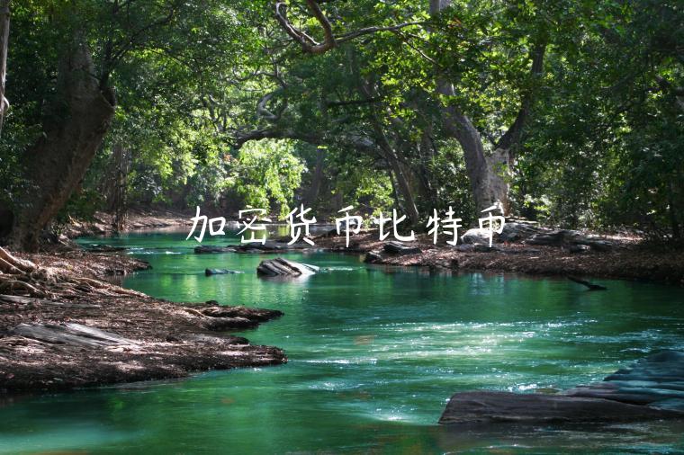 加密货币比特币-第1张图片-欧意下载